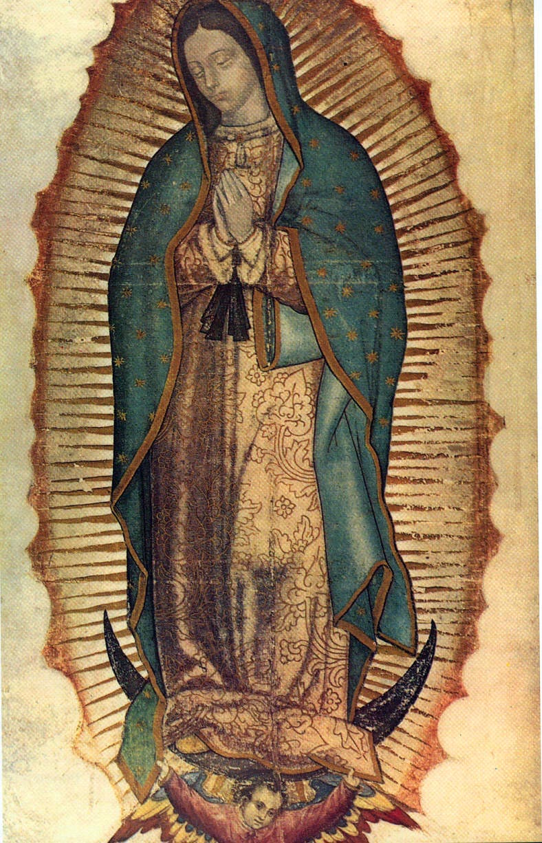OUR LADY OF GUADALUPE PATRONESS OF THE AMERICAS