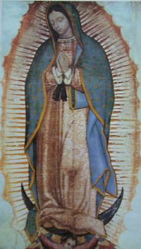 Blessed Virgin Mary under the title of Our Lady of Guadalupe